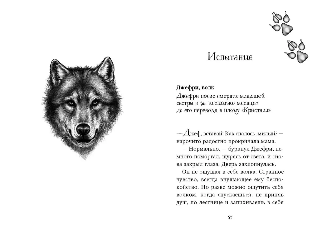Dwanaście sekretów