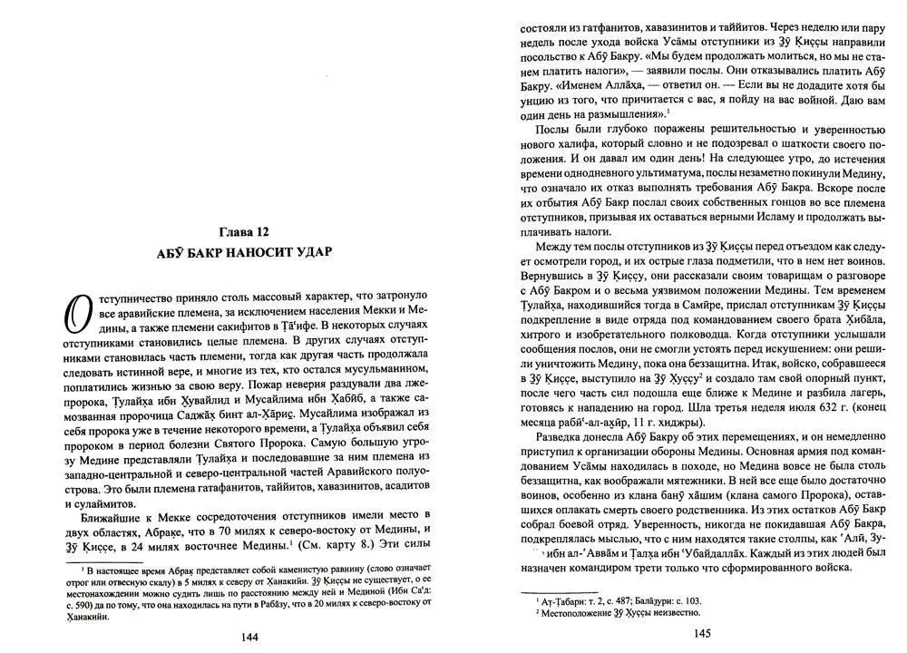 Ritter der Wüste. Der Sturz der Imperien. Chalid ibn al-Walid