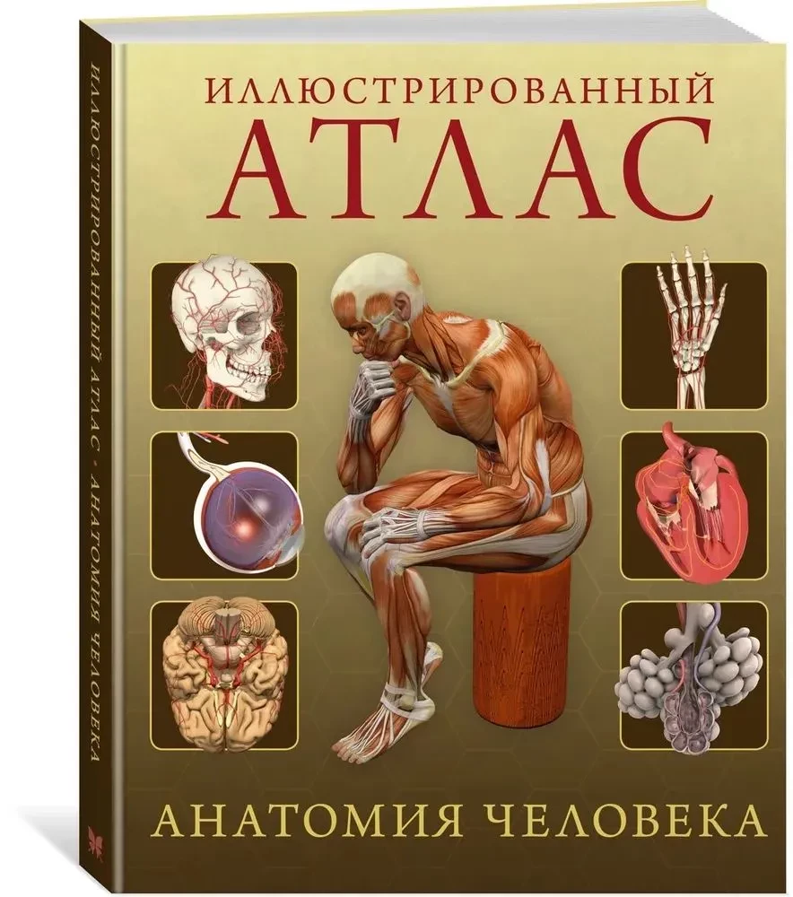 Illustrated Atlas. Human Anatomy