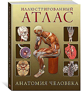 Illustrated Atlas. Human Anatomy