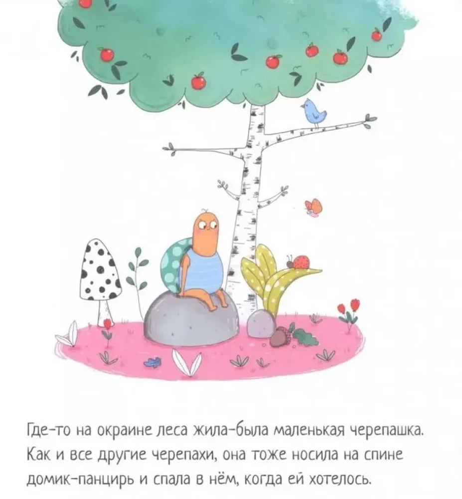 Vėžlys, kuris negalėjo užmigti
