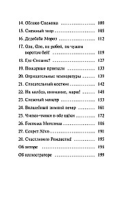 Снежик, или Чудо в переулке Синичек
