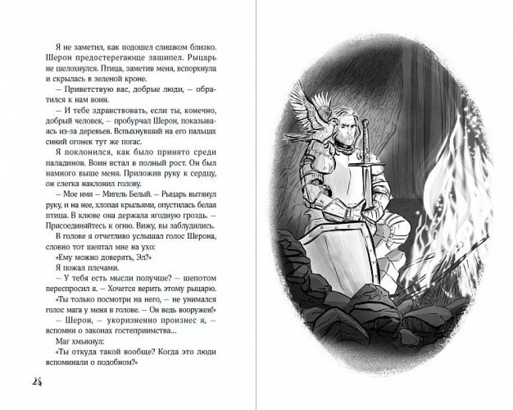 Светлая книга: Ученик паладина