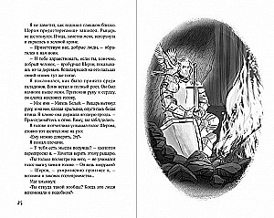 Светлая книга: Ученик паладина