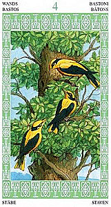 Lenormand tarot (Vadovas ir kortos)