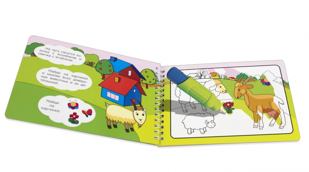 Daugykartinė spalvinimo knyga. Piešiame su vandeniu. Koulinga spalvinimo knyga. Naminių gyvūnų tema