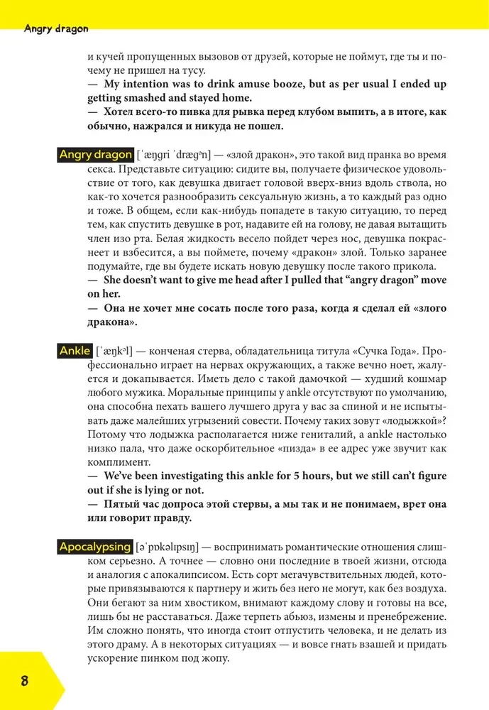 Fucking English: 1000+ words and expressions from English slang