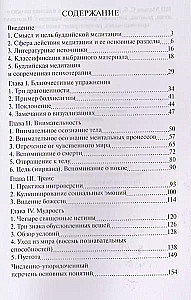 Буддийская медитация. Благочестивые упражнения, внимательность, транс, мудрость
