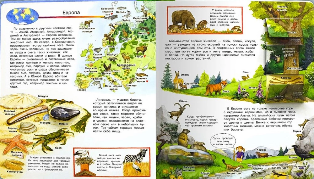 Was? Warum? Wozu? Mein erster Atlas der Welt (mit magischen Fenstern)