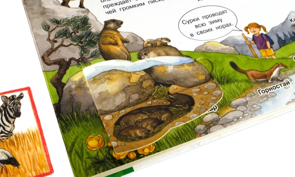 Was? Warum? Wozu? Mein erster Atlas der Welt (mit magischen Fenstern)
