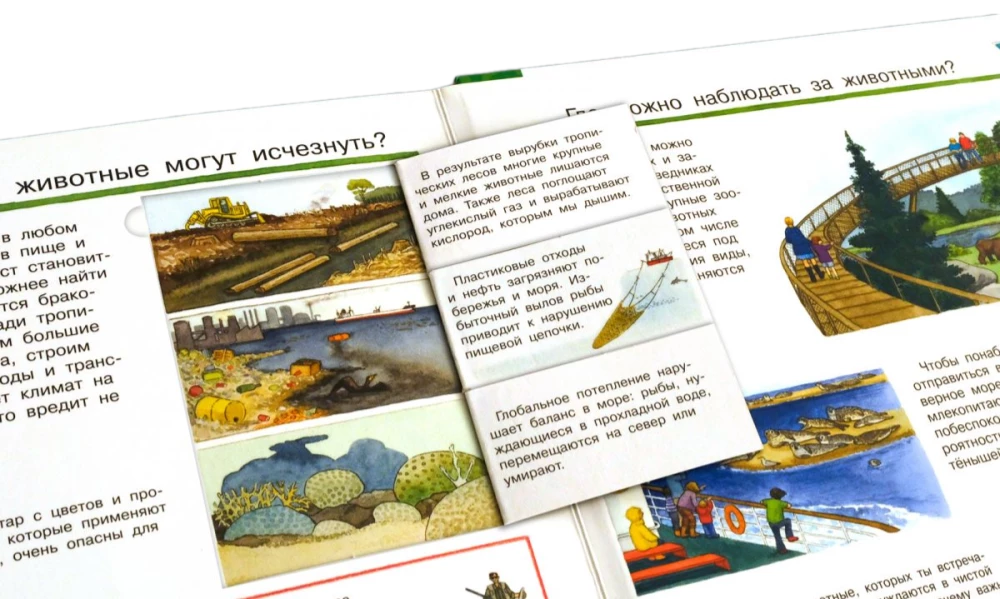 Was? Warum? Wozu? Mein erster Atlas der Welt (mit magischen Fenstern)