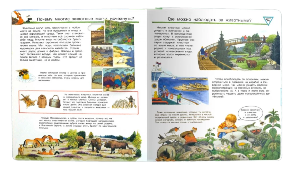 Was? Warum? Wozu? Mein erster Atlas der Welt (mit magischen Fenstern)