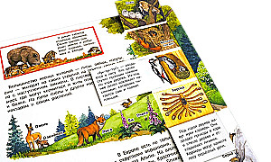 Was? Warum? Wozu? Mein erster Atlas der Welt (mit magischen Fenstern)