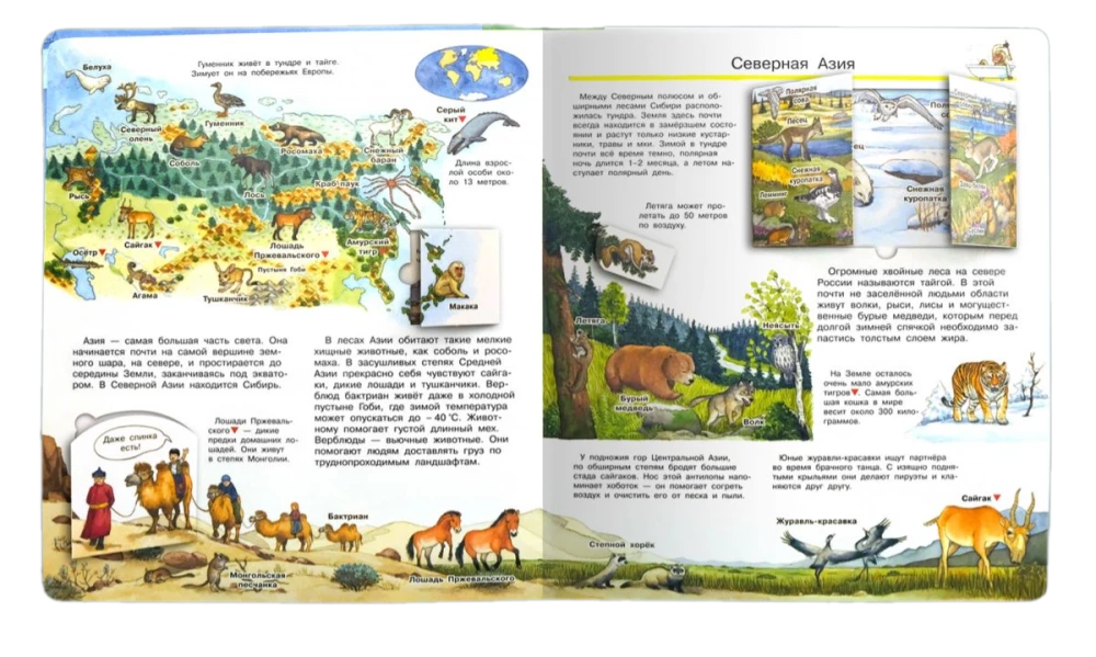 Was? Warum? Wozu? Mein erster Atlas der Welt (mit magischen Fenstern)