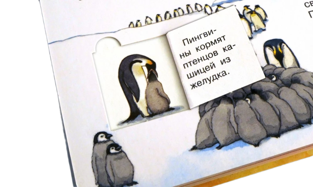 Was? Warum? Wozu? Mein erster Atlas der Welt (mit magischen Fenstern)