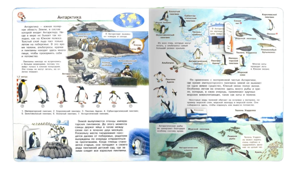 Was? Warum? Wozu? Mein erster Atlas der Welt (mit magischen Fenstern)
