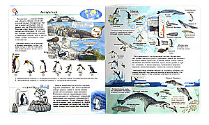 Was? Warum? Wozu? Mein erster Atlas der Welt (mit magischen Fenstern)