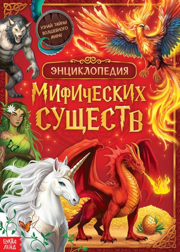 Magier-Set - Bücher, Poster, Zauberstab