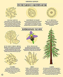 Wunder der Evolution. Eine Zeitreise