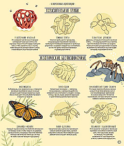 Wunder der Evolution. Eine Zeitreise
