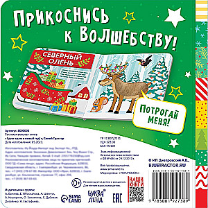 Tactile Book - We Are Going to the New Year