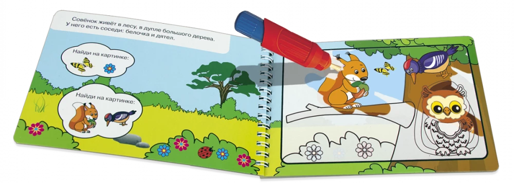 Wiederverwendbares Malbuch. Malen mit Wasser. Zauberhaftes Malbuch Waldtiere