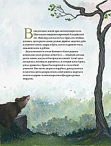 Сказки и легенды о драконах со всего света