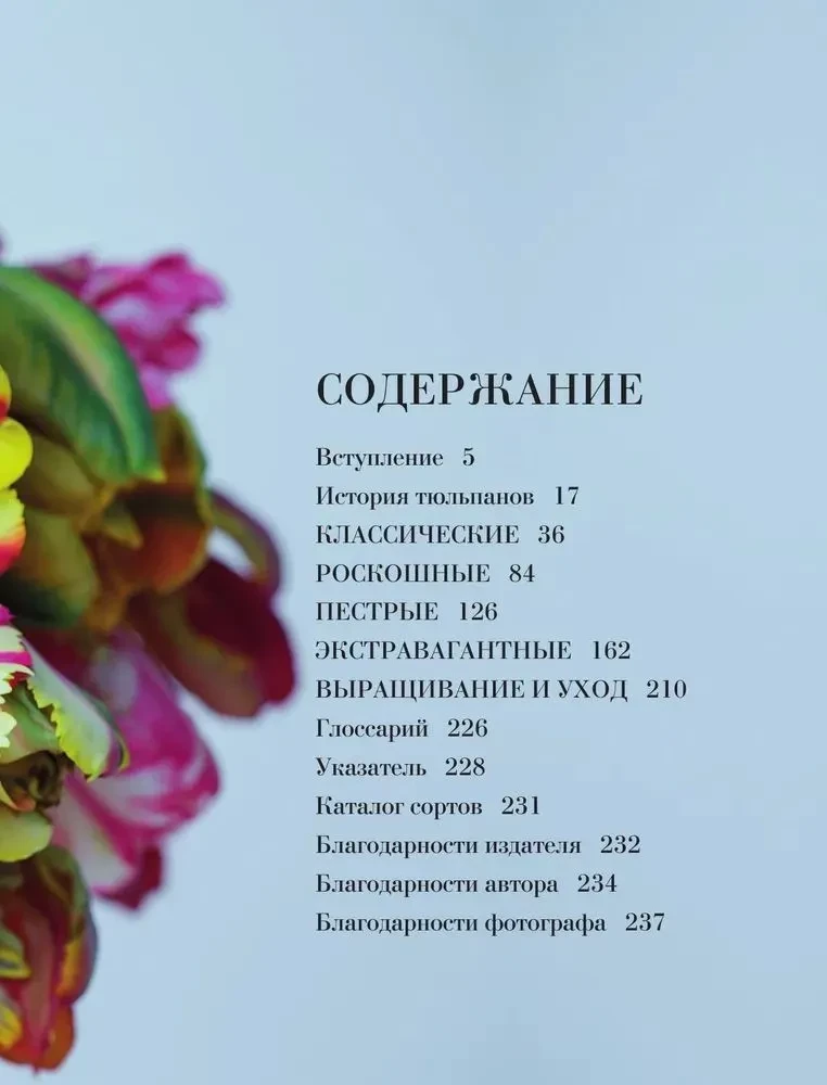 Tulpės. Nuostabūs gėlės namams ir sodui