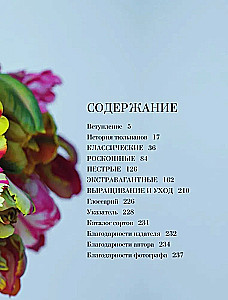 Tulpės. Nuostabūs gėlės namams ir sodui