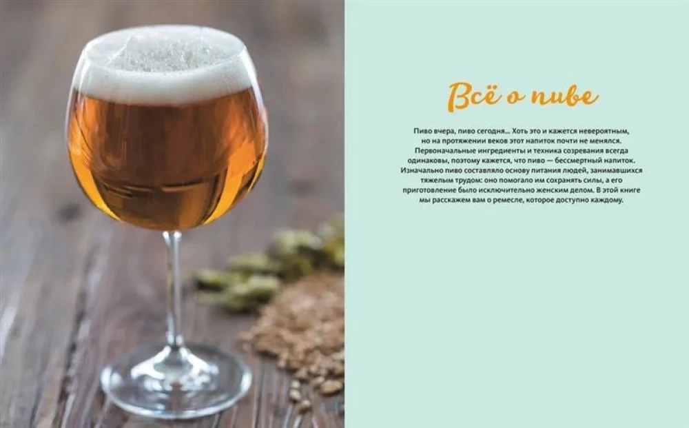 Dāvanu komplekts - Alus zaMĪS (3 grāmatas: Alus. Ideāls ceļvedis, Mājas gaļas delikateses, Mājas kūpinājumi + spēle Bāra mafija)