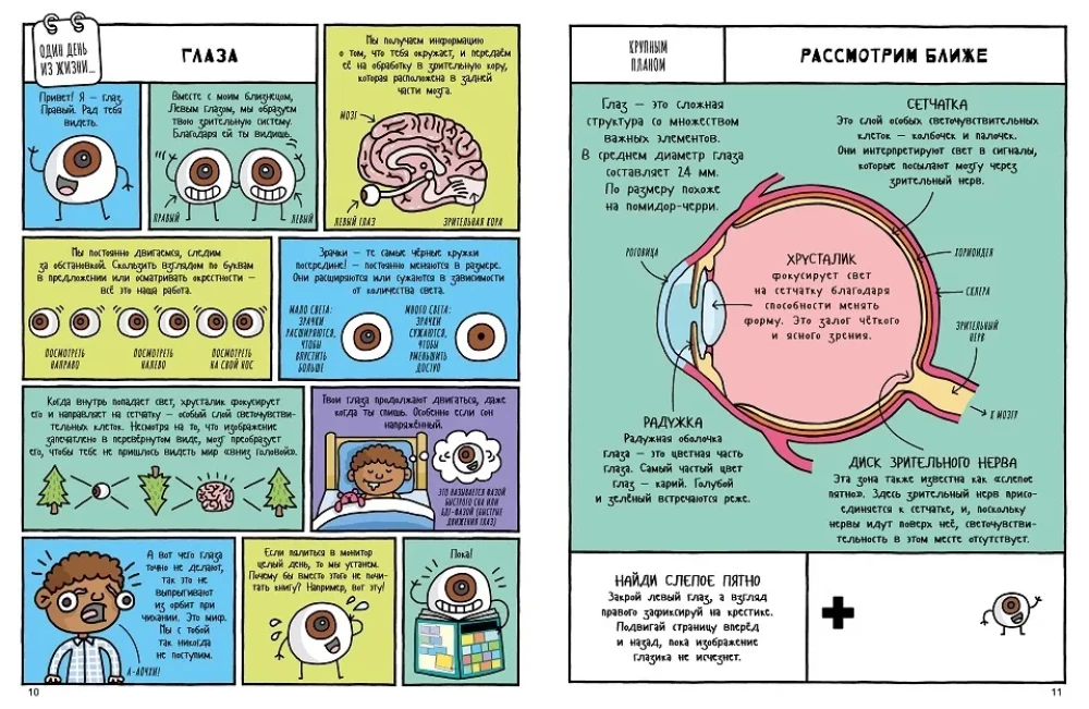 Historia naturalna w komiksach