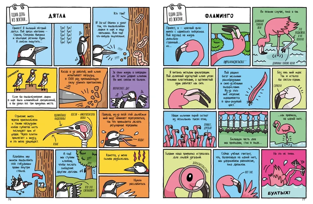 Historia naturalna w komiksach