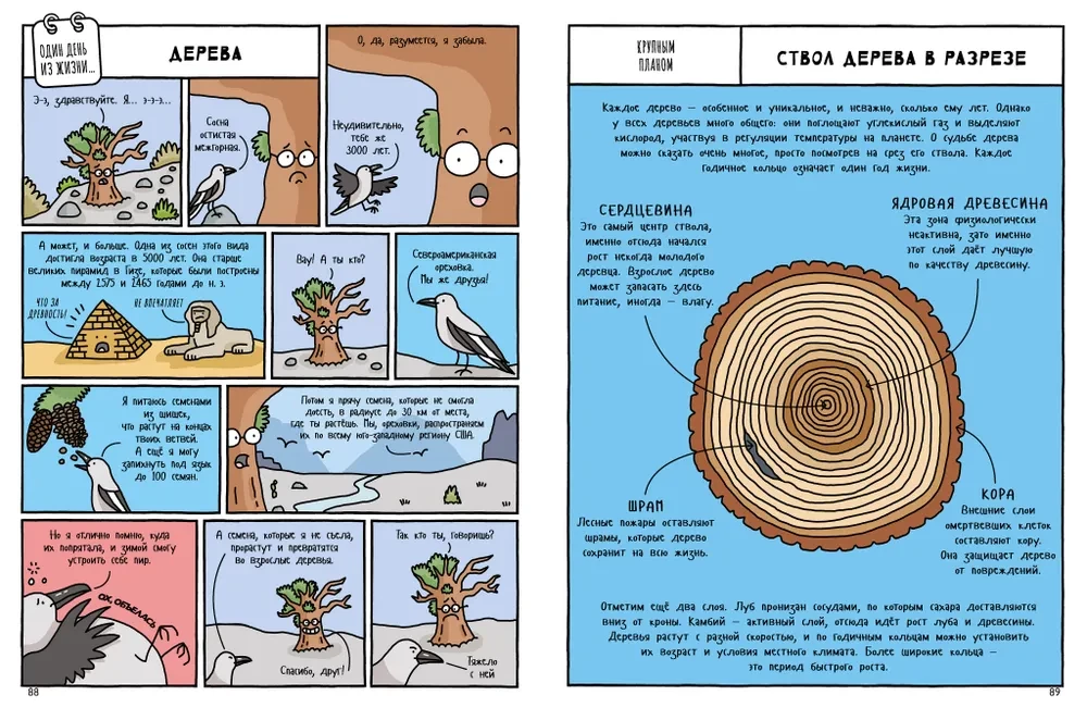 Historia naturalna w komiksach
