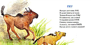 Liūtas, gorila ir kiti
