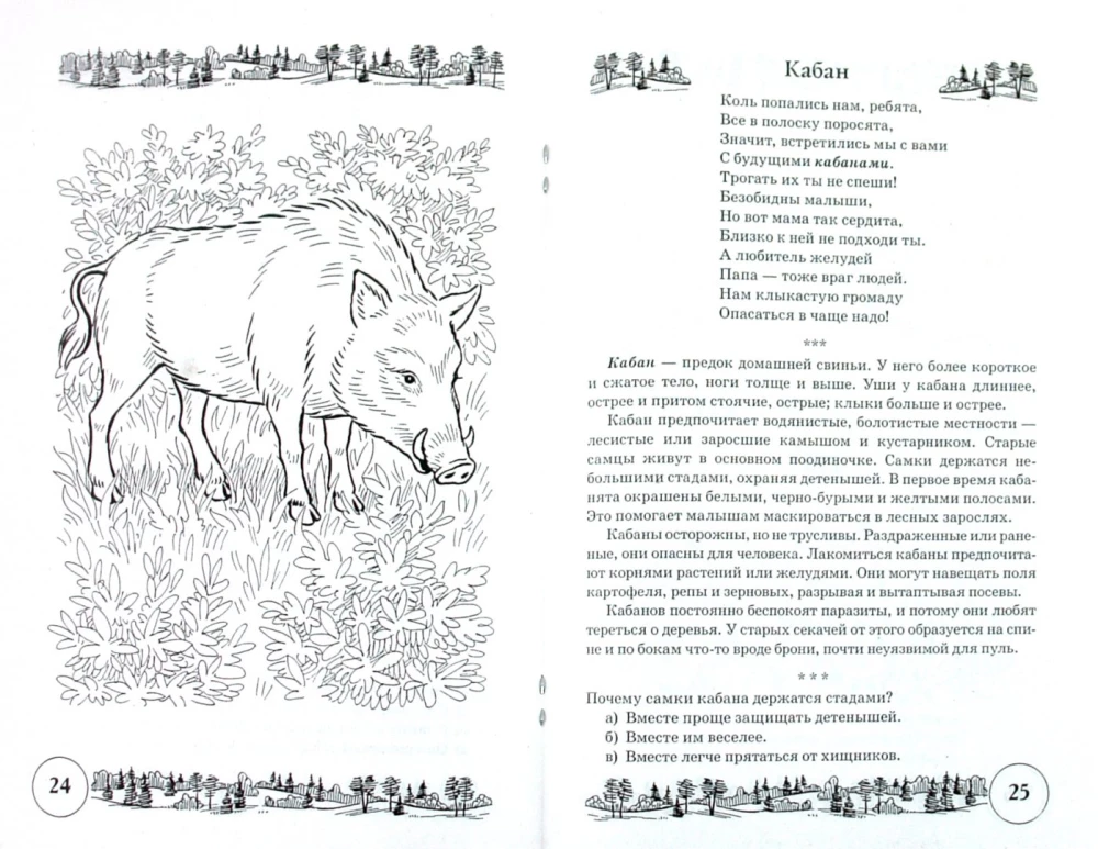 Gedichte und Sprachübungen zum Thema Wilde Tiere. Entwicklung von Sprache und logischem Denken bei Kindern
