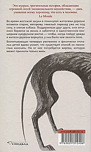 Dienas, mēneši, gadi