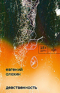 Neitsilikkus