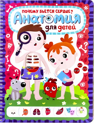 ZnanikUM. Anatomia