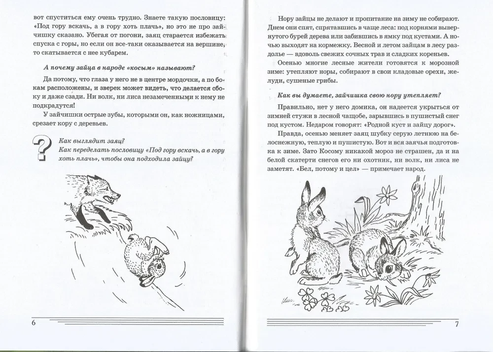 Jakie zwierzęta są w lesie?