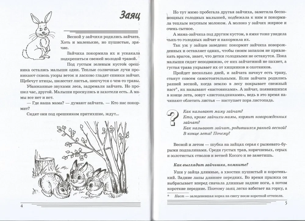 Jakie zwierzęta są w lesie?