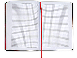 Notes w kratkę - Ginkgo