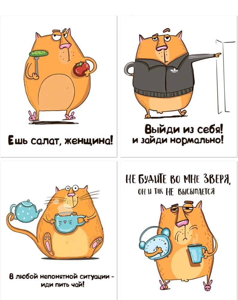 Zeszyt ogólny 48 stron - Kot Krendel, w asortymencie
