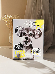 Album na zdjęcia na 100 zdjęć - Fluffy pets. Hau (10x15)