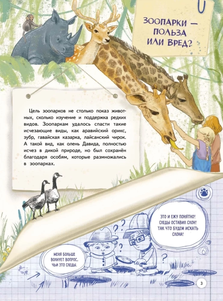 Zoo. Animal Story