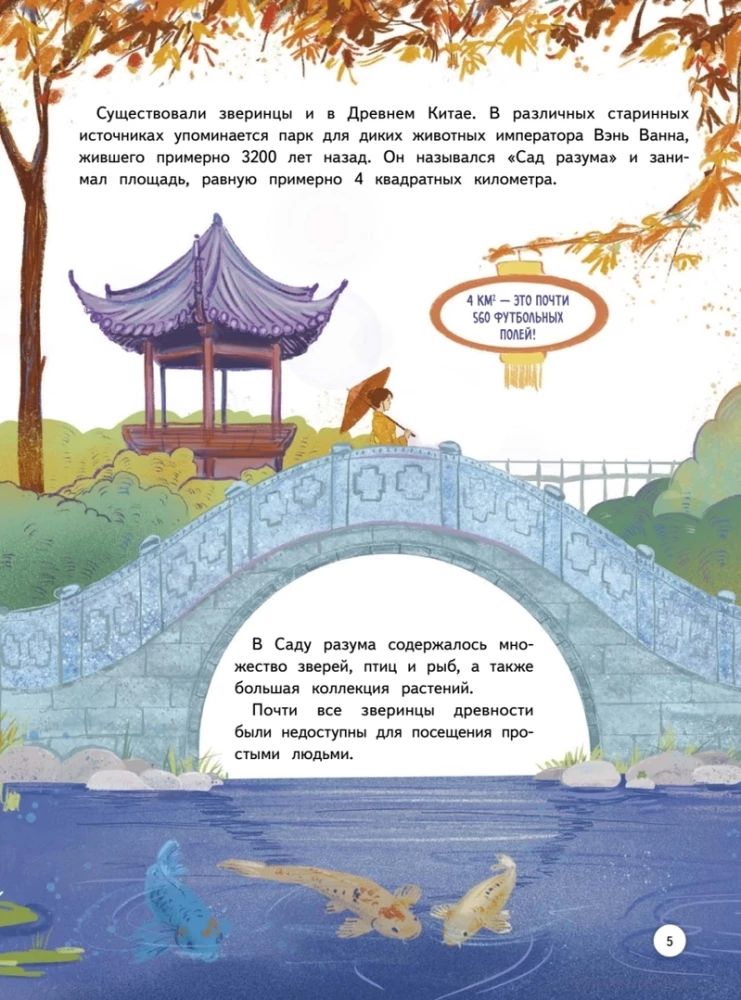 Zoo. Animal Story