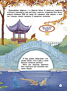 Zoo. Animal Story