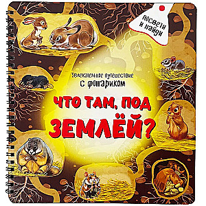 Kas tur, zem Zemes?