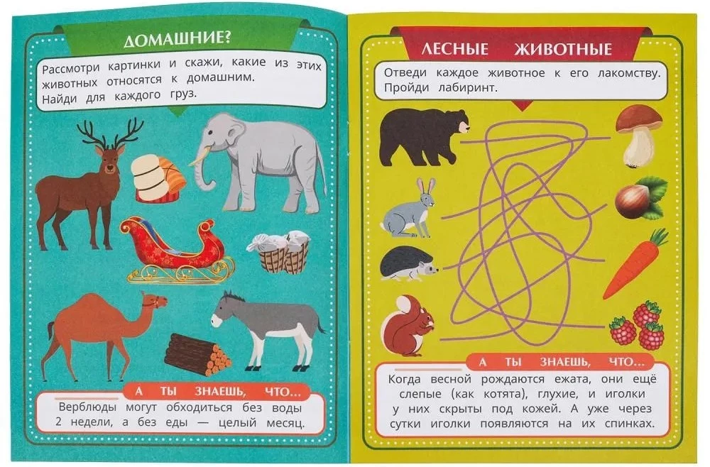 Tiere