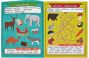 Tiere