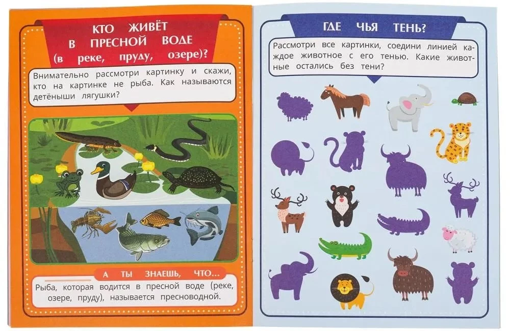Tiere